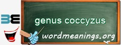 WordMeaning blackboard for genus coccyzus